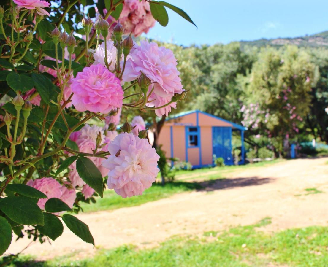 Residence Itylon Cargèse Dış mekan fotoğraf