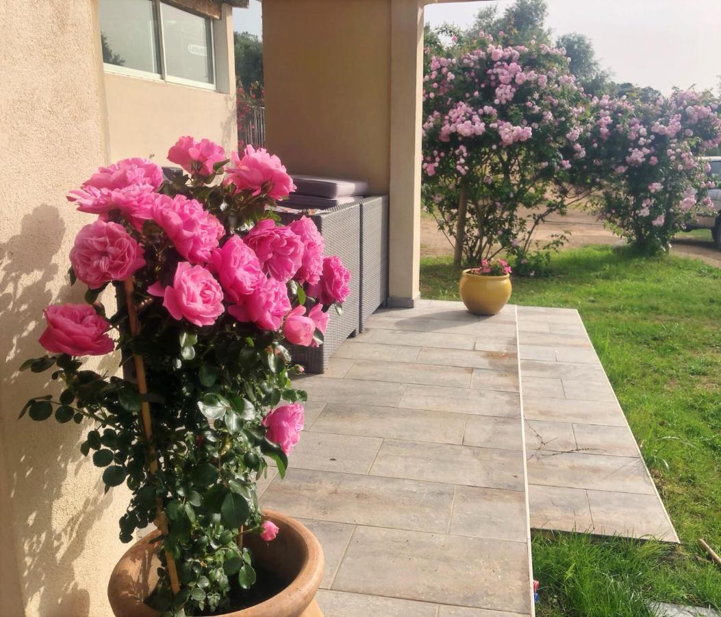 Residence Itylon Cargèse Dış mekan fotoğraf