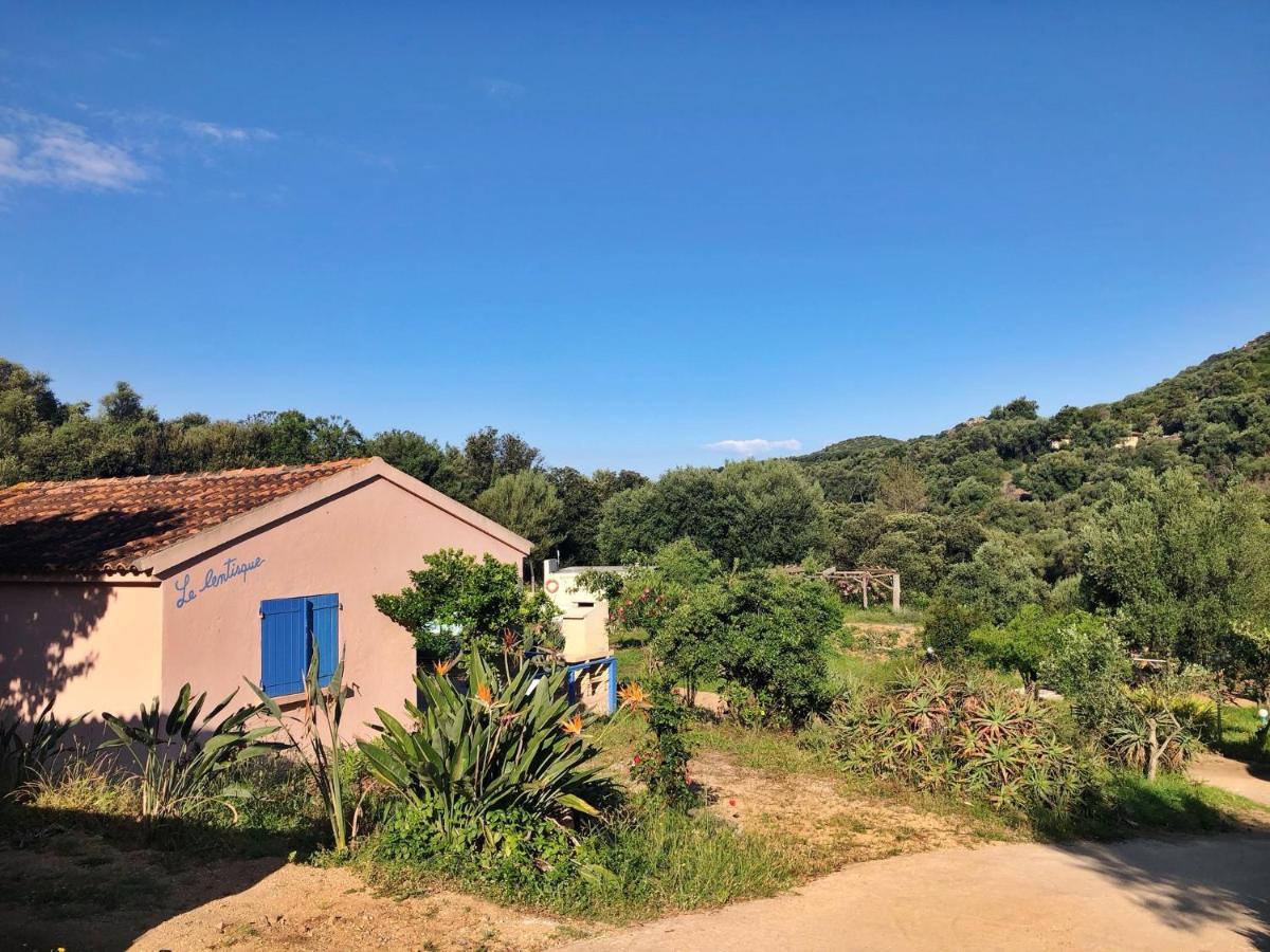 Residence Itylon Cargèse Dış mekan fotoğraf