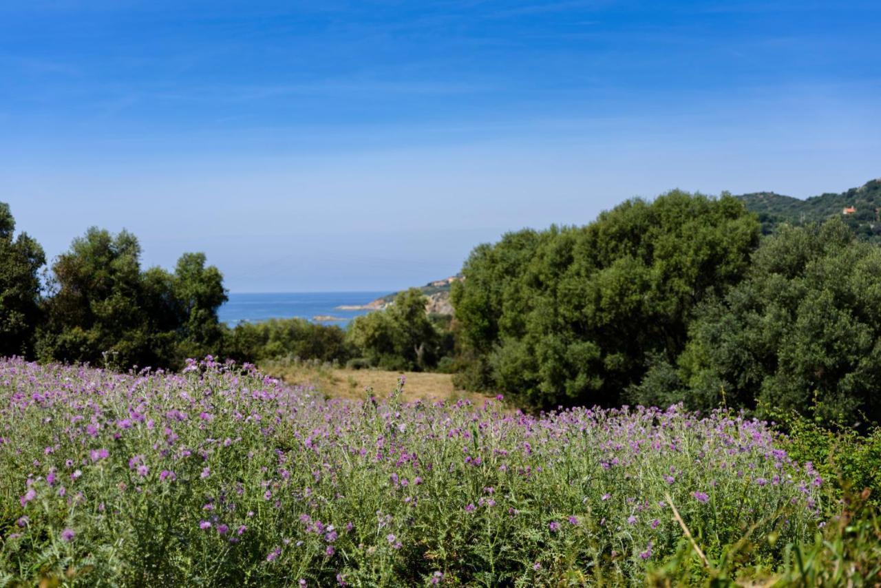Residence Itylon Cargèse Dış mekan fotoğraf